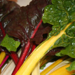 rainbow_swiss_chard8