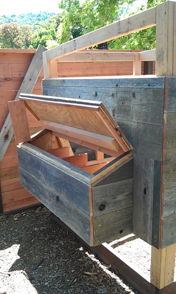 How to build a chicken coop | Marin Homestead