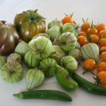 harvest01