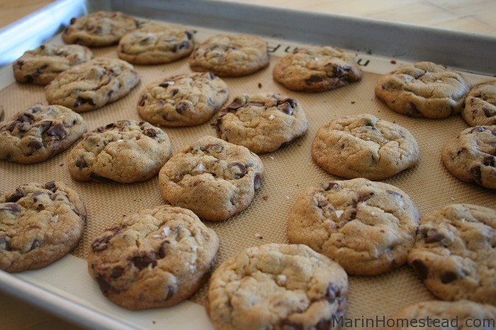 Sea Salt Chocolate Chip Cookies | Marin Homestead