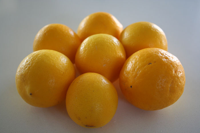 Meyer Lemon Panna Cotta