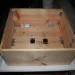 ficus-fusing-bonsai-42