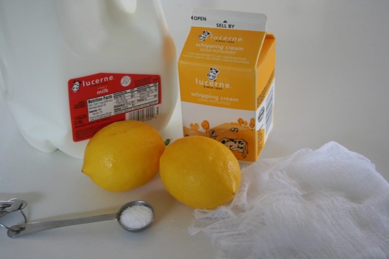 How to Make Ricotta Cheese Marin Homestead