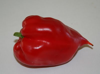 My First Bell Pepper