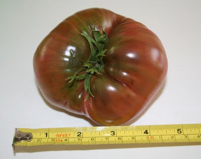 Ugliest Black Krim?