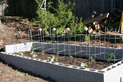 Vegetable Garden Planted April 23, 2009