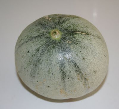 First Charentais Melon