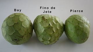 Cherimoya review: Bays, Pierce and Fino de Jete