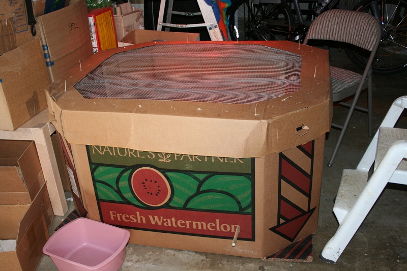 Homemade Chick Brooder