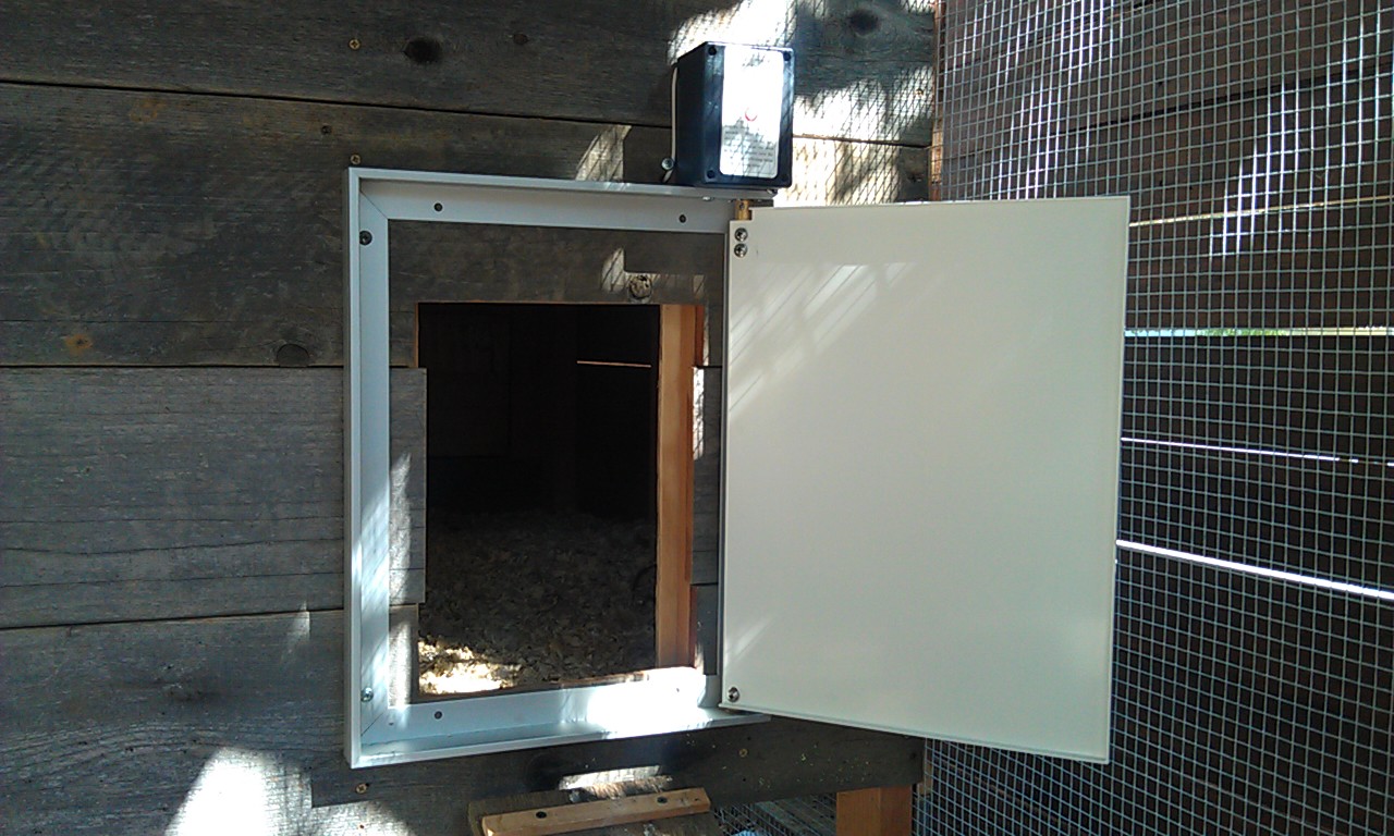 chicken-coop-automatic-door1 Marin Homestead