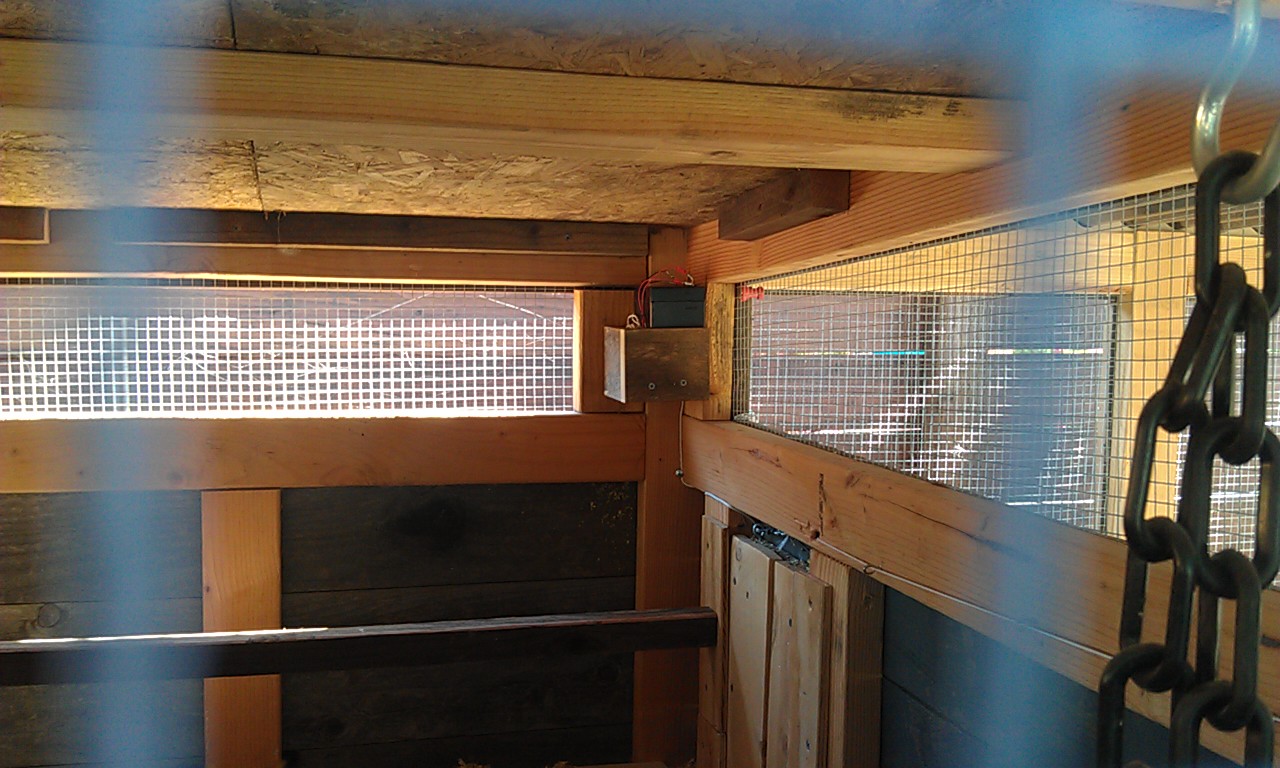 chicken-coop-automatic-door3 – Marin Homestead