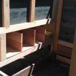 chicken-coop-building-029