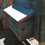 chicken-coop-building-052