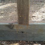 chicken-coop-building-073