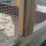 chicken-coop-building-074