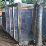 chicken-coop-building-075