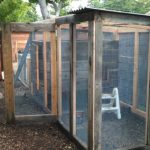 chicken-coop-building-087