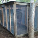 chicken-coop-building-090