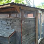 chicken-coop-building-092