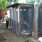 chicken-coop-building-106