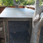 chicken-coop-building-107