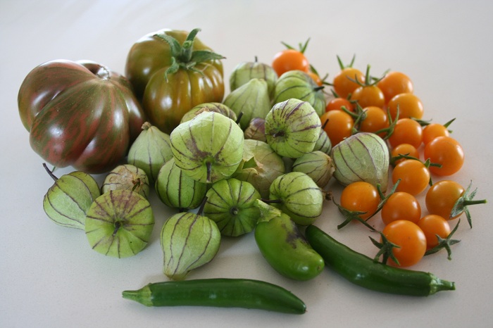 Garden Update: Tomatillos, Serrano Peppers, Jalapeno Peppers, Pink Berkeley Tie Dye Tomato