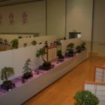 rebs-bonsai-show-21011-60