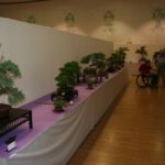 rebs-bonsai-show-21011-63
