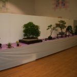 rebs-bonsai-show-21011-66