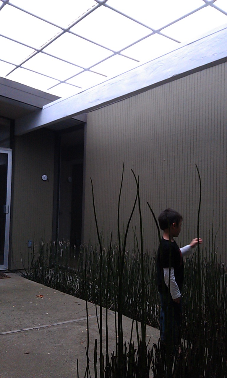 How To Build a Simple Eichler Atrium Cover