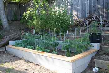 Raised garden beds