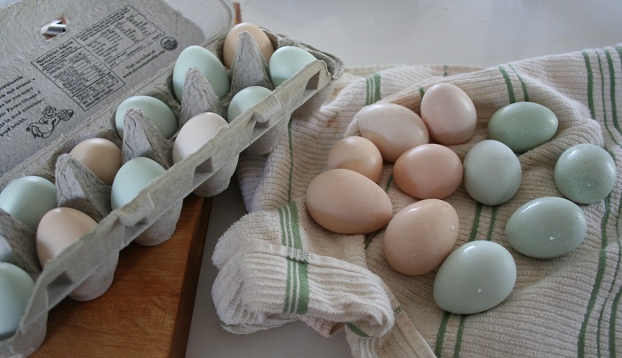 How To Tuesday: How to Clean Farm Fresh Eggs - Homemade Home