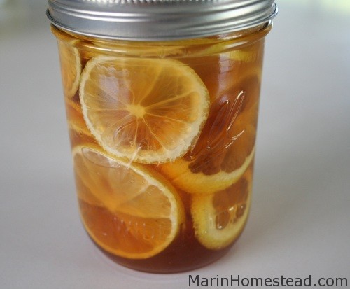 Lemon Ginger and Honey in a Jar (Cold Buster!)