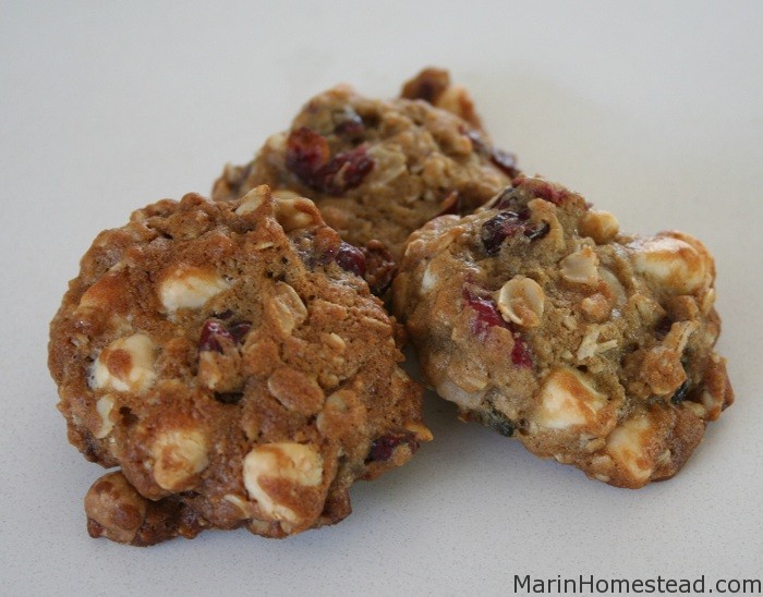 Cranberry White Chocolate Oatmeal Cookies