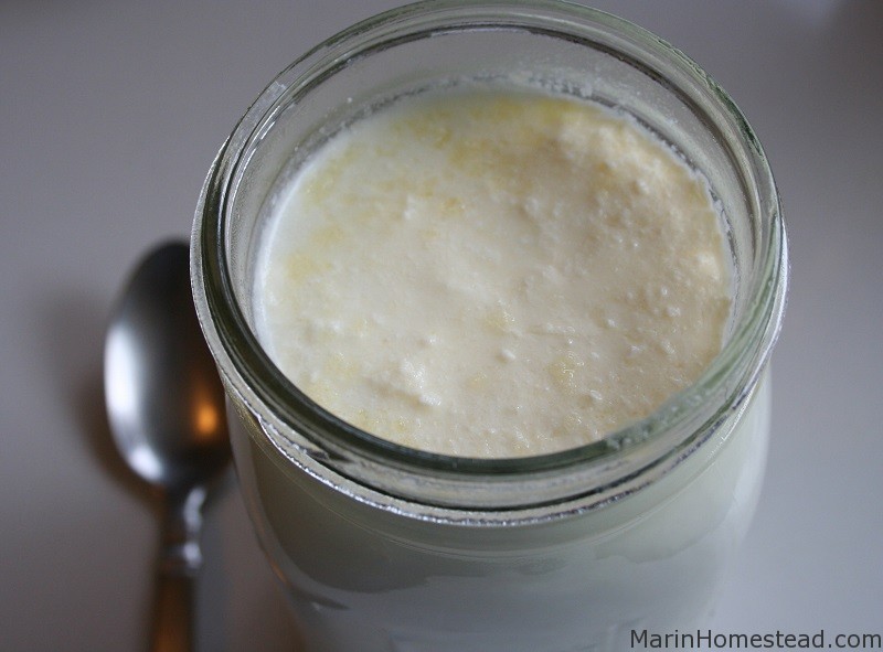homemade_yogurt