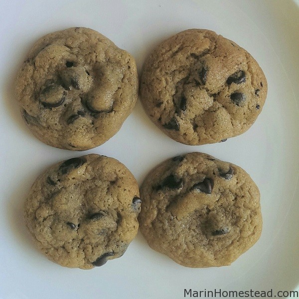 Sea Salt Chocolate Chip Cookies