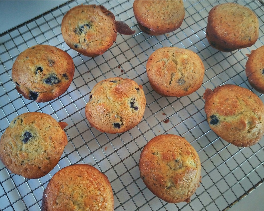 Tammy’s Easy Blueberry Muffins