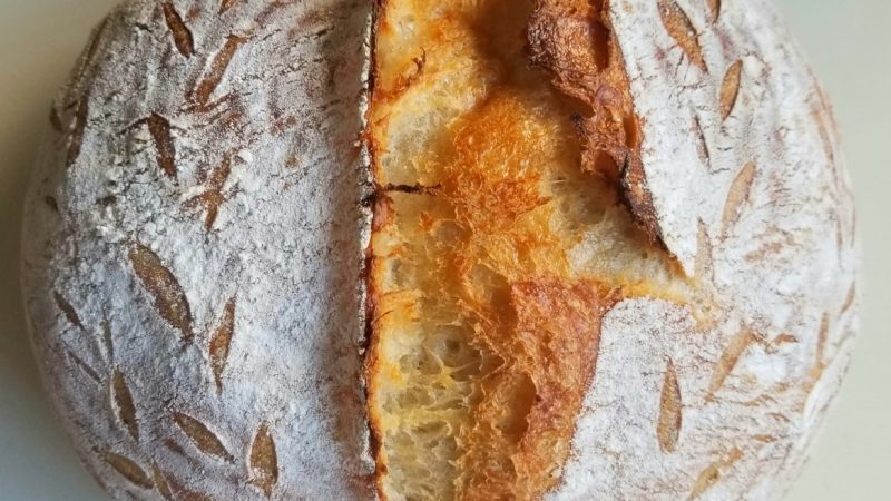 Tammy’s Easy Foolproof Sourdough Bread Recipe & Video