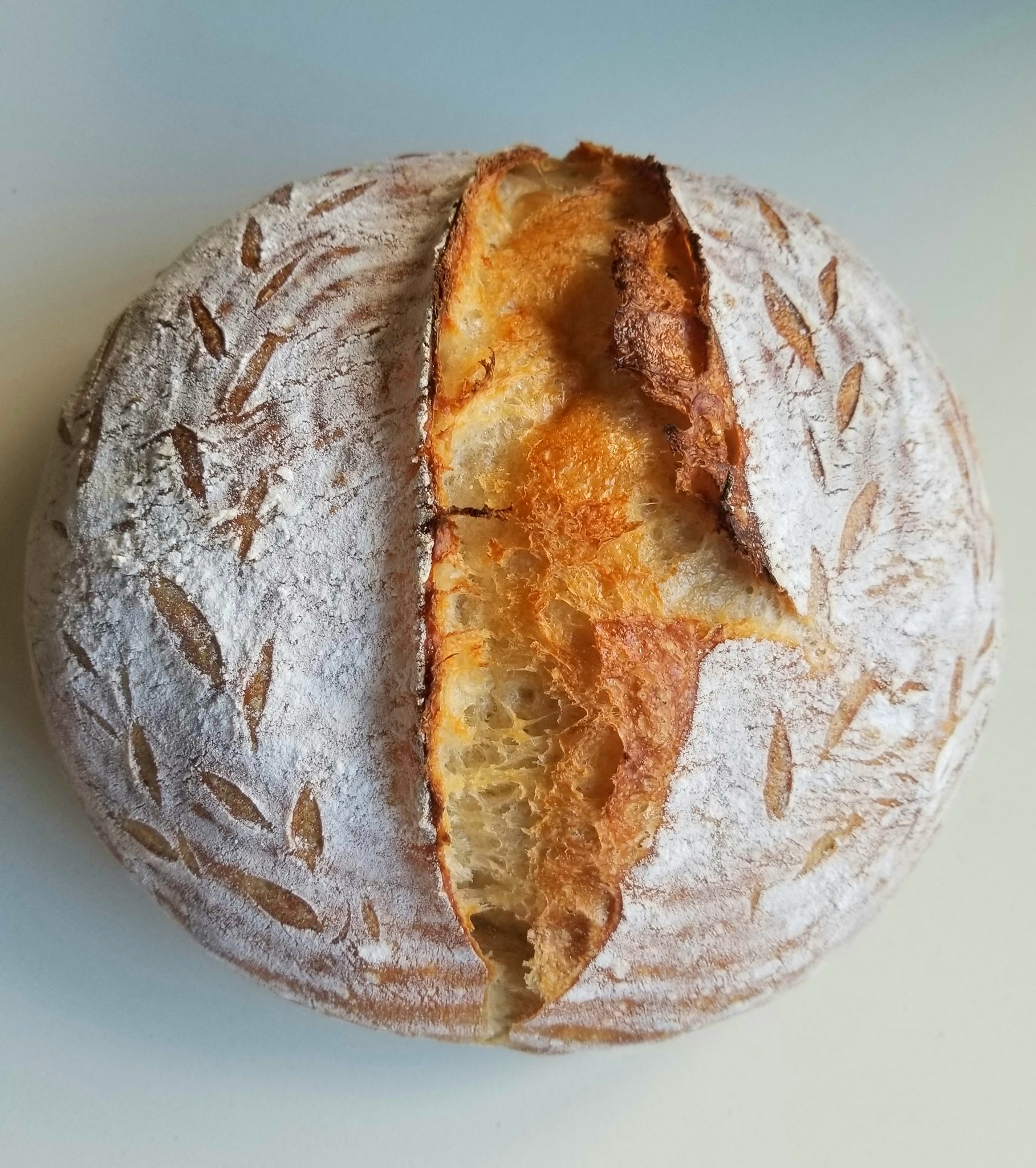 Tammy’s Easy Foolproof Sourdough Bread Recipe & Video